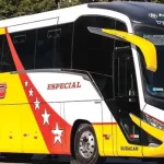 cooperativa baños