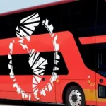 Transportes Panamericana. Uniendo fronteras y familias
