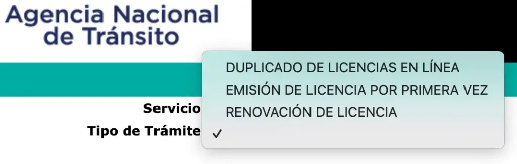 turno para la licencia