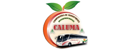 Caluma