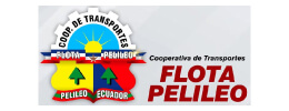 Flota Pelileo